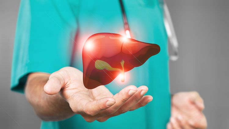 Diagnostic Tools Liver Specialists Use To Identify Health Concerns