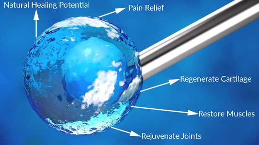 How Nuclear Medicine Enhances the Understanding of Bone Marrow Function