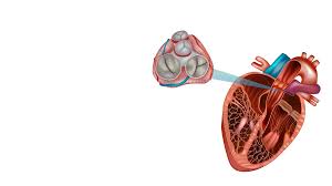 A Guide on How to Prepare for Your DOT Physical