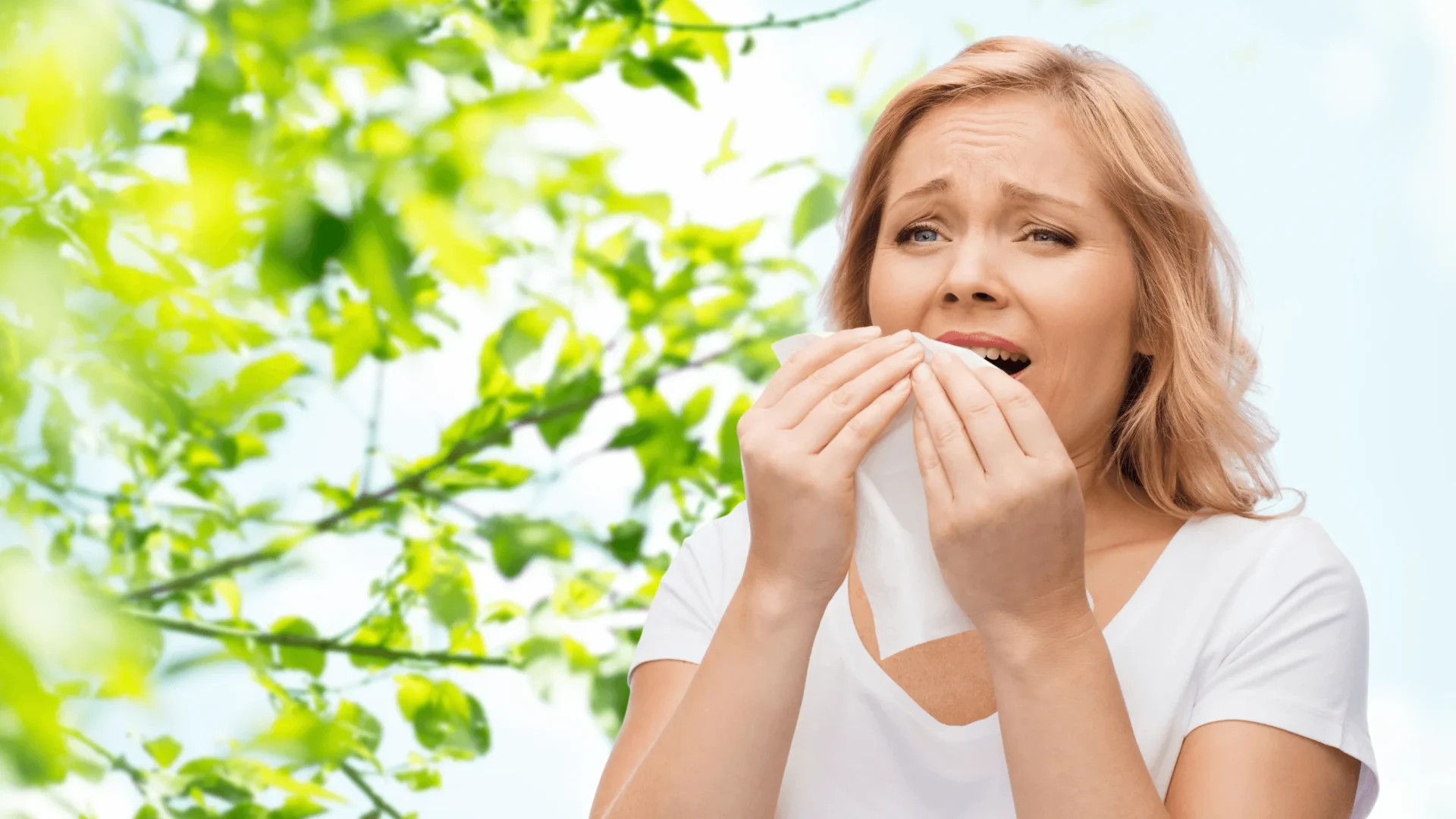 Symptoms, Treatment, and Prevention for Seasonal Allergies