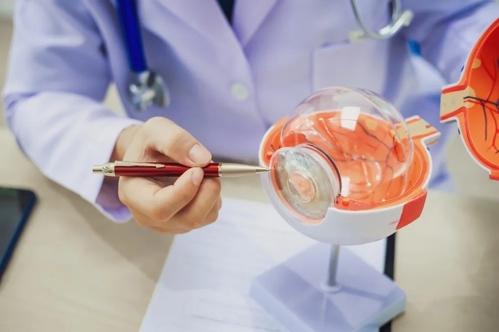 The Connection Between Retinal Tears and Vision Loss