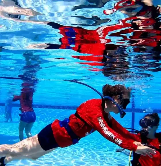 Tips for Customizing Your Liveaboard Dive Vacation